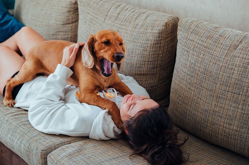 Une femme allongée sur le canapé en train de jouer avec son chien