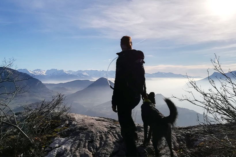 Maître et chien contemplent une belle vue depuis un sommet