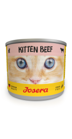 KITTEN BEEF WET