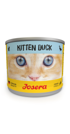 KITTEN DUCK WET