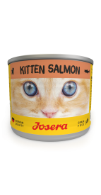 KITTEN SALMON WET