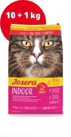 INDOOR