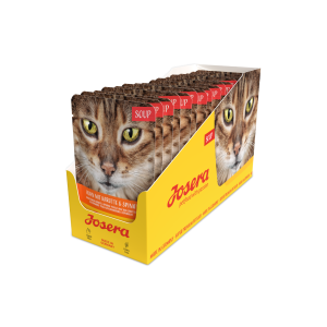 SOUPE DE POULET AUX CAROTTES ET ÉPINARDS