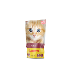 PÂTÉE KITTEN