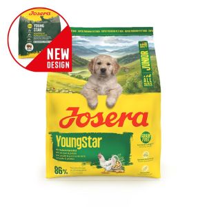 YOUNGSTAR