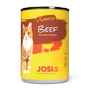 JOSICAT BŒUF EN SAUCE