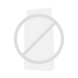 Chat Europeen European Shorthair Actif Robuste Affectueux