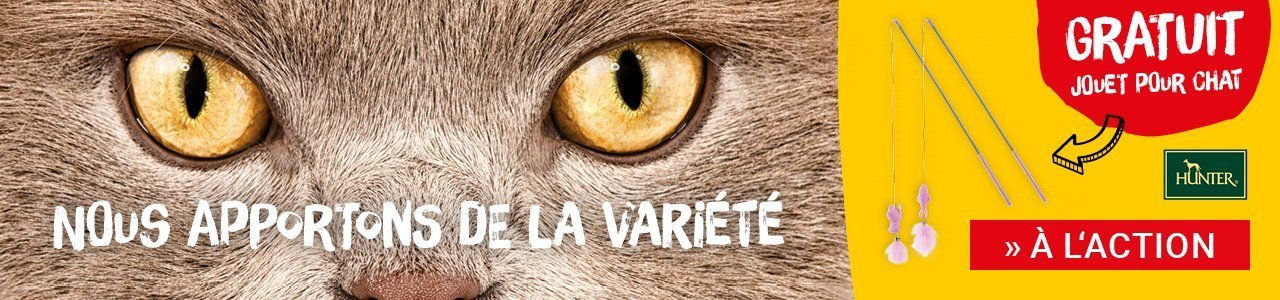 Croquettes Pour Hypoallergenique Chats Commander En Ligne Des Maintenant La Qualite Premium Josera Croquettes Pour Hypoallergenique Chats Commander En Ligne Des Maintenant La Qualite Premium Josera