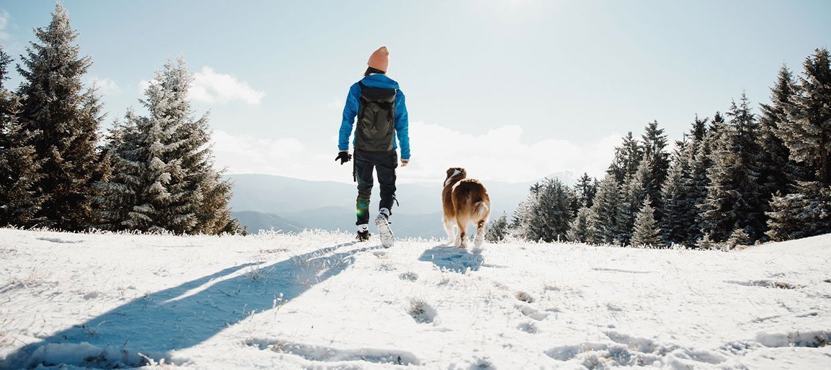 Pratique de la randonnée avec votre chien : partez avertis!