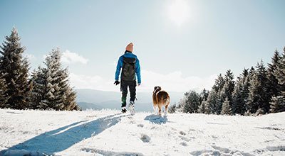 Pratique de la randonnée avec votre chien : partez avertis!