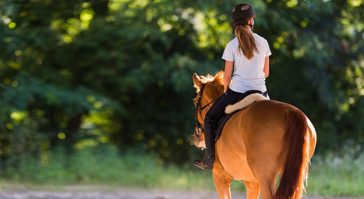Randonnée à cheval : nos conseils pour une promenade équestre réussie et en toute sécurité