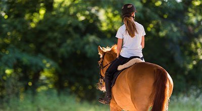 Randonnée à cheval : nos conseils pour une promenade équestre réussie et en toute sécurité