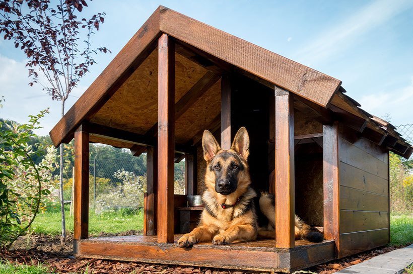 Une niches chiens en bois, avec un chien blanc à l’intérieur 