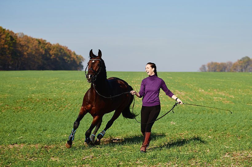 Une femme en train de faire travailler son cheval dans un pré