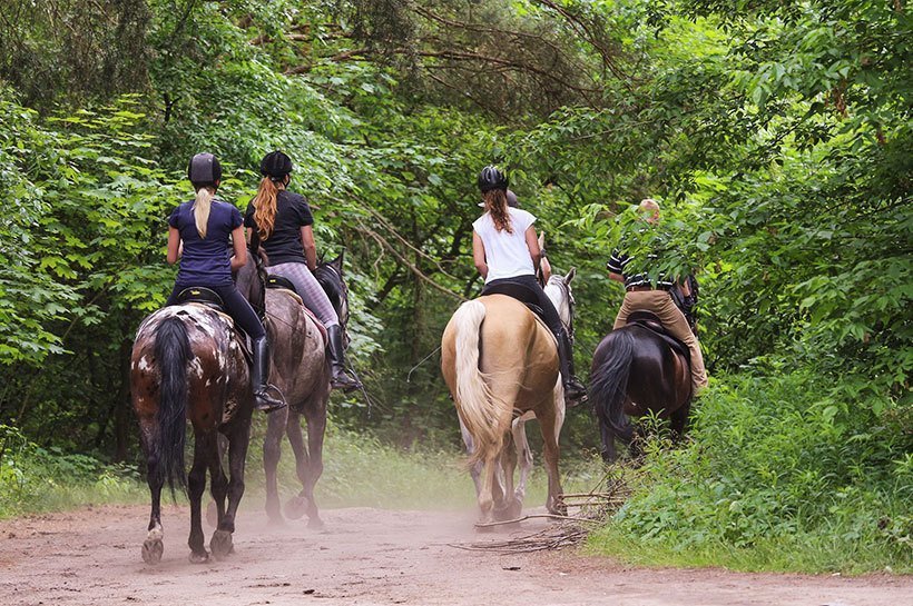 Plusieurs cavaliers et leur monture en train de se promener à cheval